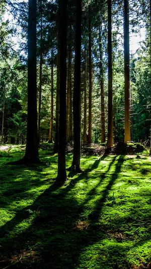 做网站建设公司截图1