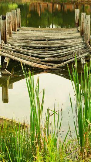 seo工具软件下载截图3