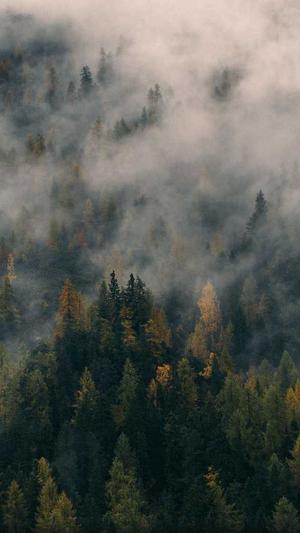 四川省住房和城乡建设厅网站截图4