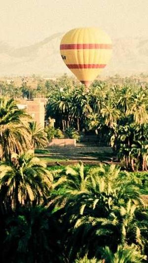 外贸网站建设截图3