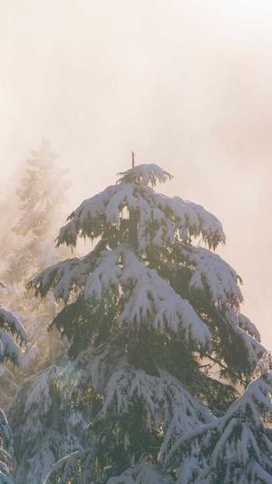 中国住房城乡建设部网站截图3