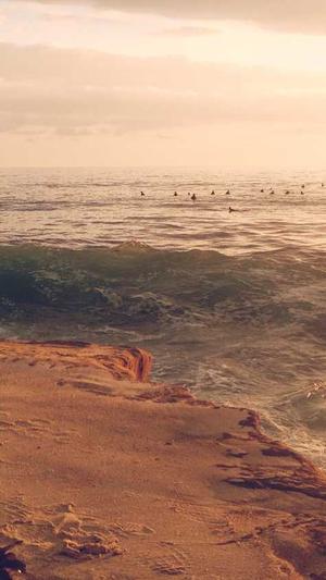 山东省建设厅网站截图4