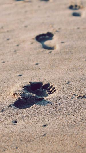 安徽360蜘蛛池租用截图3