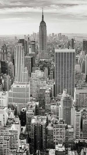 seo优化方案截图4