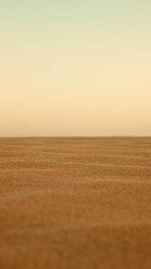 蜘蛛池的好处和坏处截图4