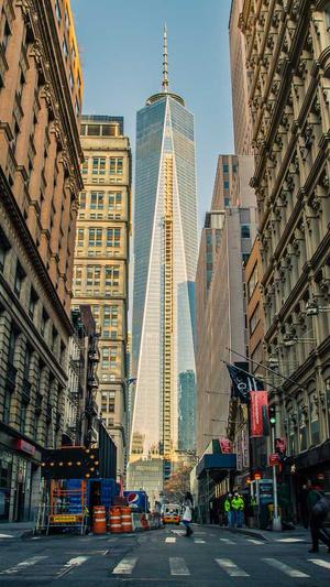 黑侠蜘蛛池教程截图3