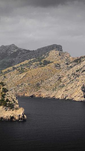 繁殖泛目录截图3