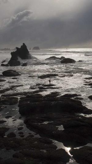 泛目录app推广截图4