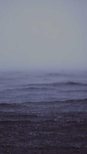 武汉seo优化工具截图2