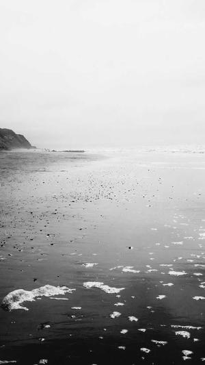 搜狗泛目录代发截图3