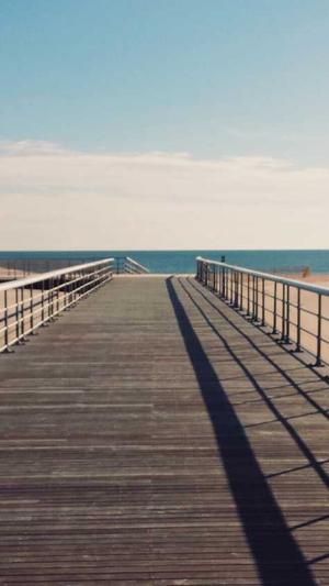 重庆seo点击软件截图5