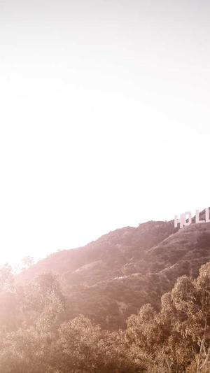 优化工具seo截图1