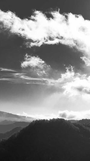 提升关键词排名seo工具截图4