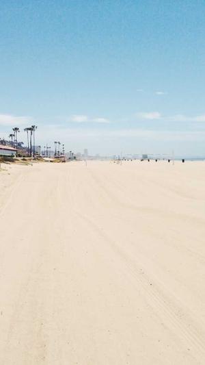 SEO网页综合查询工具截图1