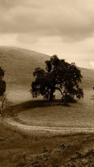 网站排名seo优化截图3