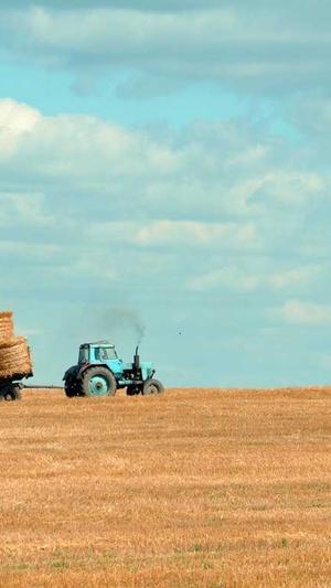 甘肃蜘蛛池出租平台截图5