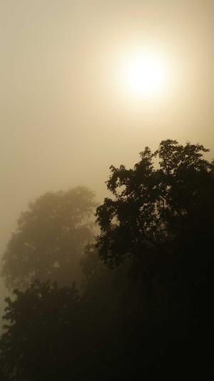 商业网站建设案例课程截图1