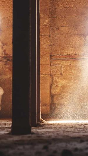 百度权重蜘蛛池出租截图2