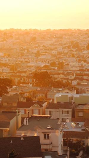 seo排名优化课程截图2