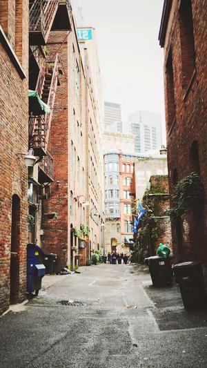 泛目录站群如何优化截图1