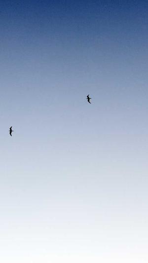 最好的蜘蛛池在哪儿截图5