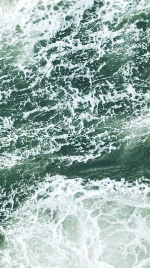 企业网站建设制作截图3