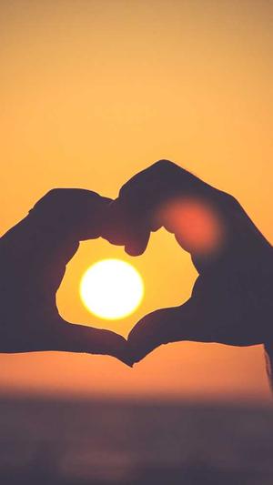 谷歌蜘蛛池购买网站截图3