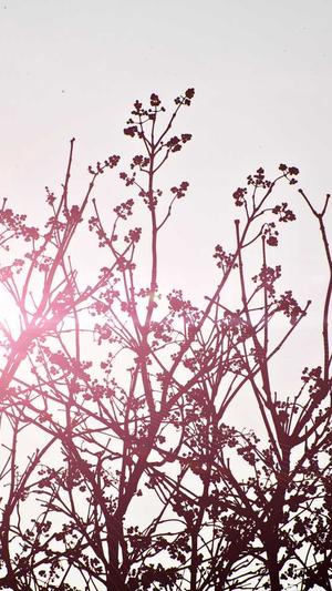 seo自动优化工具截图4