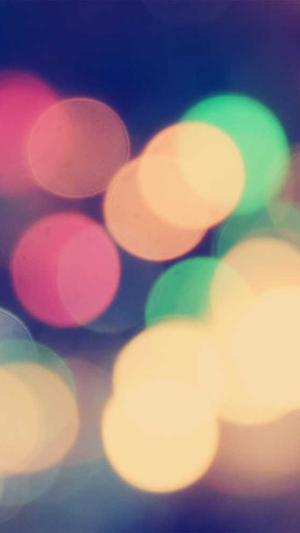 蜘蛛池的蜘蛛蛋截图1