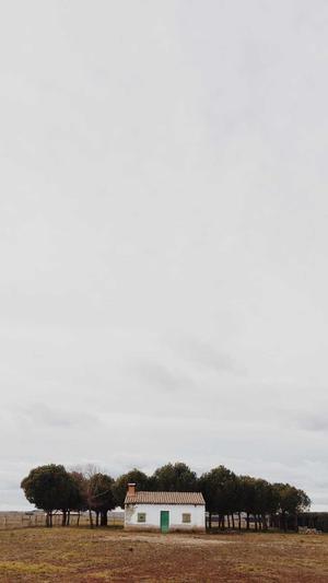 集成seo工具截图3