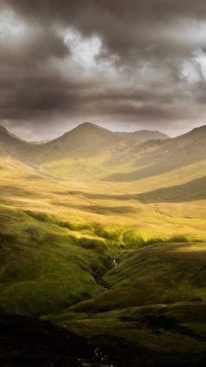 江苏省城乡和住房建设厅网站截图3