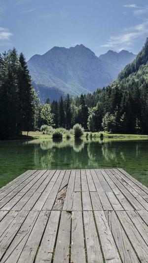 seo自动推广工具信息流截图3