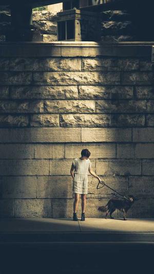 北京哪个网站建设最好截图4