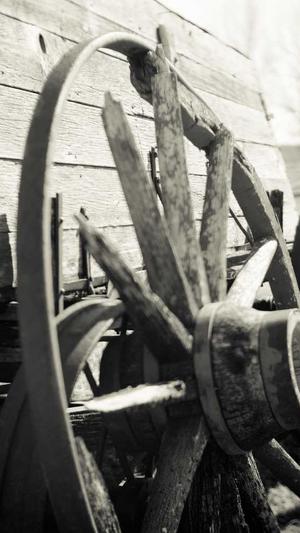 seo网站seo服务优化工具截图2