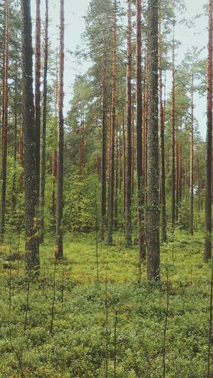 蜘蛛池免费截图2