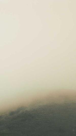 超级蜘蛛池积分截图1