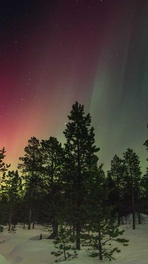 朝阳seo工具截图2