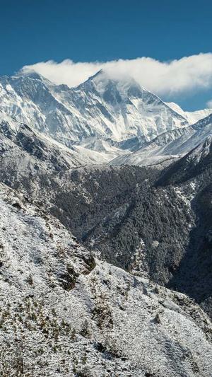 蜗牛精灵seo工具截图3