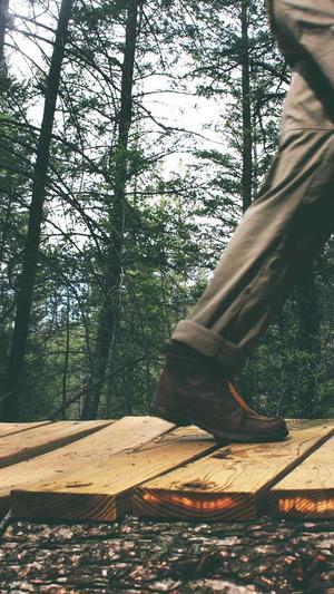 seo软文推广工具截图4