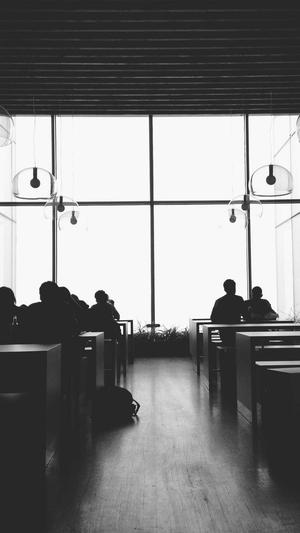 蜘蛛池站群源码截图2