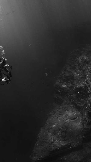 云南蜘蛛池出租服务截图5