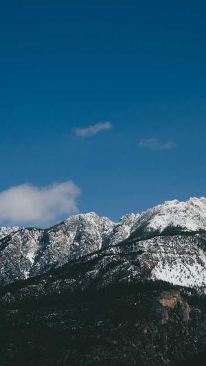 青岛seo优化排名截图5