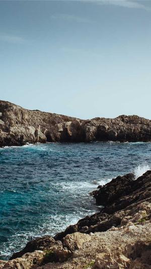 蜗牛精灵seo工具截图2