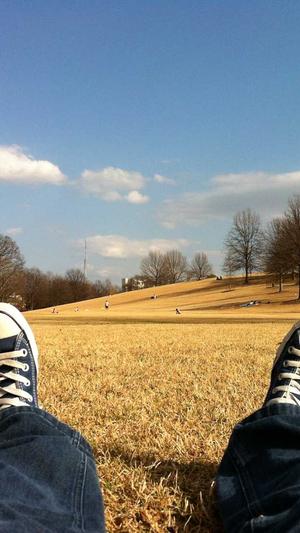 长沙seo优化公司截图2