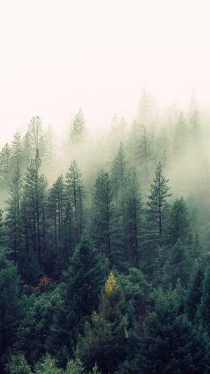 seo站长工具优化截图4