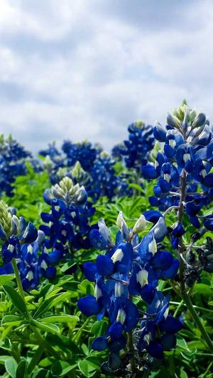 泛目录与蜘蛛池区别截图3