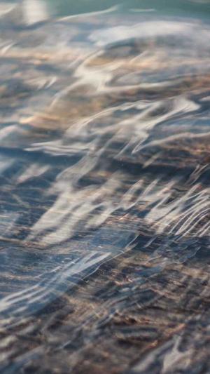 免费体验蜘蛛池的网站截图2