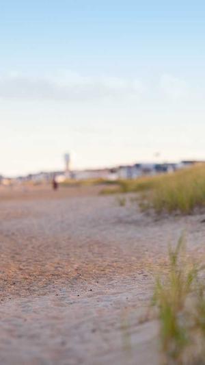 免费蜘蛛池搭建教程图截图1