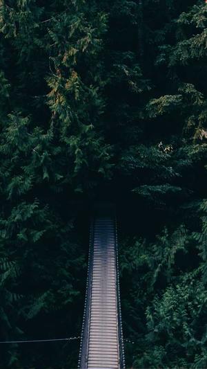 鞍山网站建设制作截图2