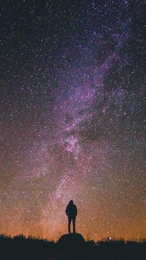 兰州seo优化截图5